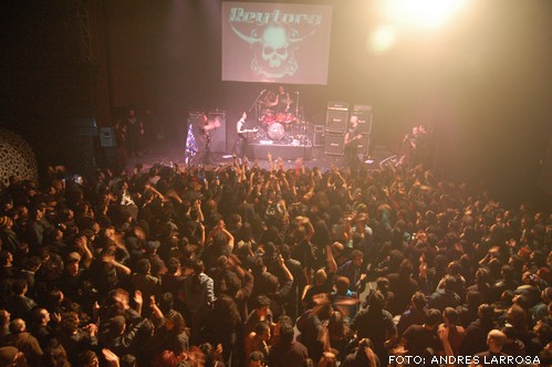 REYTORO Presentacion 